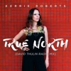 True North (David Thulin Radio Mix) - Single