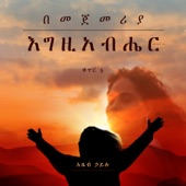 በመጀመርያ እግዚአብሔር artwork