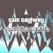 Electro Cumbia - Sam Caldwell lyrics