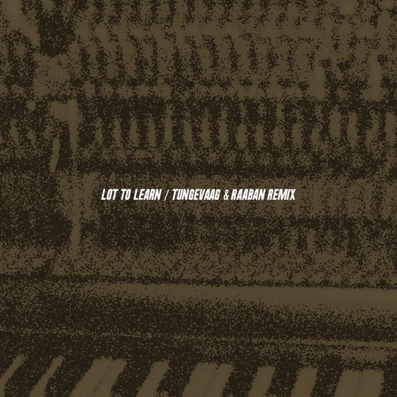 Cover artwork for Lot to Learn