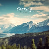 Soaking Streams artwork