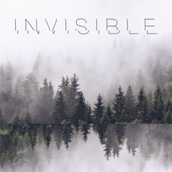 Drozďo & Demex - Invisible