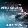 Untangle Your Life: Stop Overthinking Calm Music, Clear Your Mind album lyrics, reviews, download