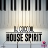 DJ Cocodil - House Spirit (Radio Mix)