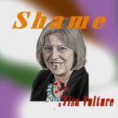 Shame - Visa Vulture