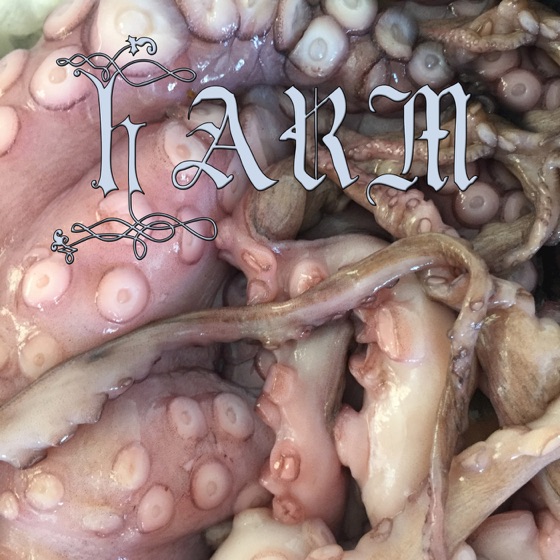 Cover artwork for Harm