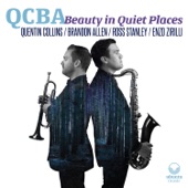 Beauty in Quiet Places (feat. Ross Stanley & Enzo Zirilli) artwork