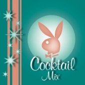 Playboy Cocktail Mix artwork