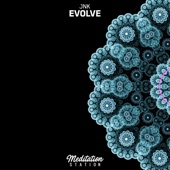 Evolve artwork