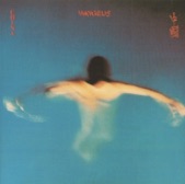 Vangelis - The Tao of Love