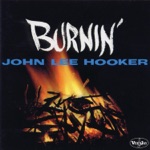 John Lee Hooker - Thelma