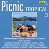 Picnic Tropical 3, 2017