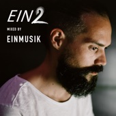 EIN2 (DJ Mix) artwork