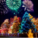 Carol of the Bells Siberian Christmas (Orchestra Version) - Trans D Slayer
