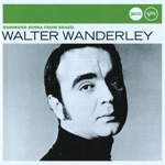 Walter Wanderley - A Different Beat (feat. Luiz Henrique)