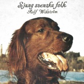 Sjung Svenska Folk artwork