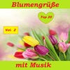 Top 20: Blumengrüße mit Musik, Vol. 2