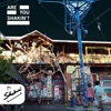 Are You Shakin'? - EP