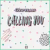 Calling You - Single album lyrics, reviews, download