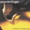Namaste - Powderfinger lyrics