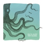 Delta Sleep - Lake Sprinkle Sprankle