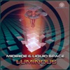 Luminous - Single