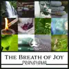 The Breath of Joy: Pranayama – Yoga Music for Deep Breathing Exercises & Relaxing Mindfulness Training, Expand Your Awareness album lyrics, reviews, download