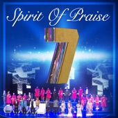 Spirit of Praise 7 (Live) artwork