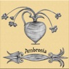 Ambrosia