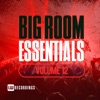 Big Room Essentials, Vol. 12