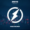 brevis - absence