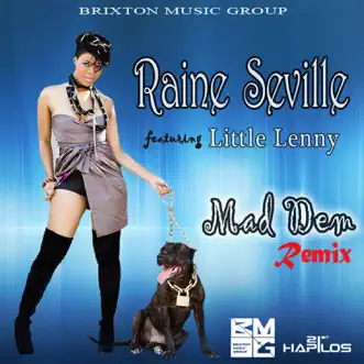 Mad Dem (Remix) by Raine Seville & Little Lenny song reviws