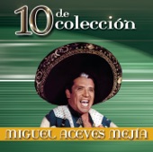 10 de Colección, 2007