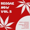 Reggae Now, Vol. 5