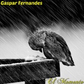 Gaspar Fernandes - Mano Fasiquiyo