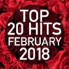 Top 20 Hits February 2018 (Instrumental)