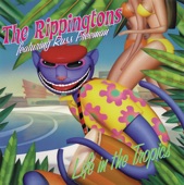 Rippingtons, The - Love Child