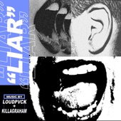 Liar artwork