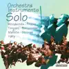 Stream & download Orchestra Instruments Solo