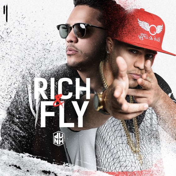 Cover artwork for Rich & Fly