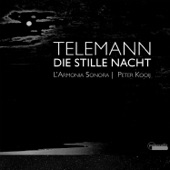 Telemann : Solo Cantatas for Bass artwork
