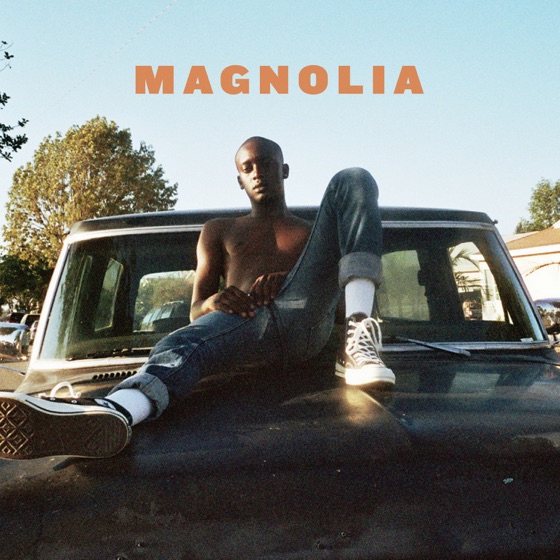 Cover artwork for 4 The Record (feat. Boogie)