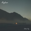 Asylum - Single