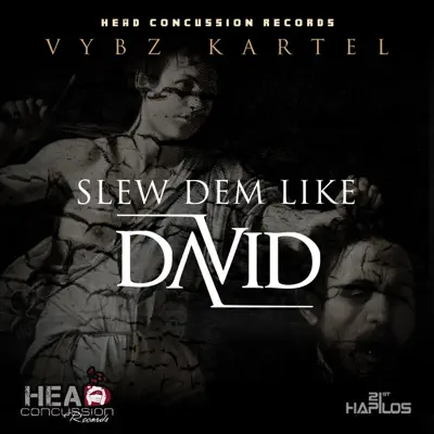 Slew Dem Like David - Single - Vybz Kartel