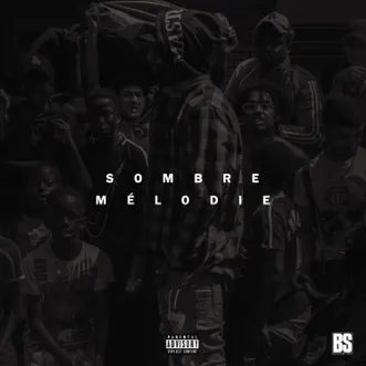 Sombre mélodie - Single by La Fouine album reviews, ratings, credits