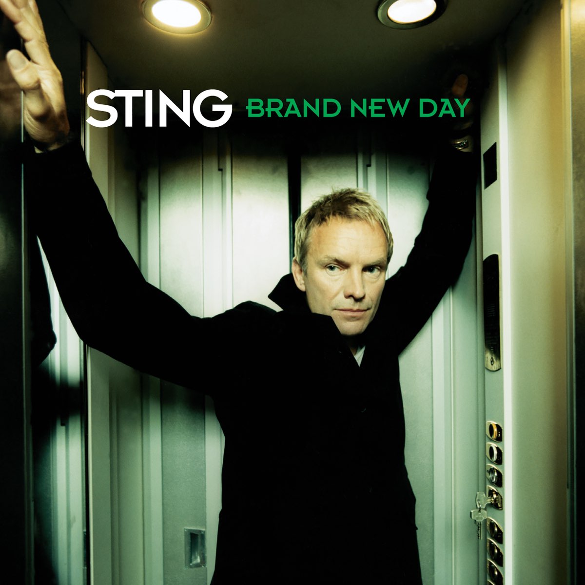 Альбом стинг brand New Day. Sting 1999 brand New Day. Стинг десерт Роуз. Sting CD.