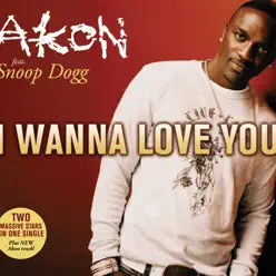 I Wanna Love You - Single (feat. Snoop Dogg) - Single - Akon