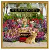 Stream & download Wild Thoughts (feat. Rihanna & Bryson Tiller) [NOTD Dance Remix] - Single