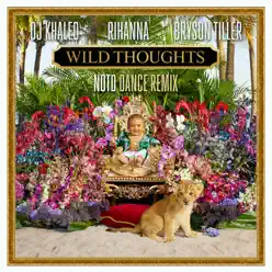 Wild Thoughts (feat. Rihanna & Bryson Tiller) [NOTD Dance Remix] - Single - DJ Khaled
