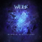 Hidden Dimensions artwork